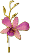 orchid design